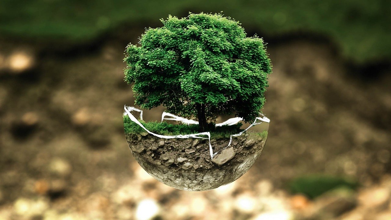 ¿DEBEMOS RECICLAR?